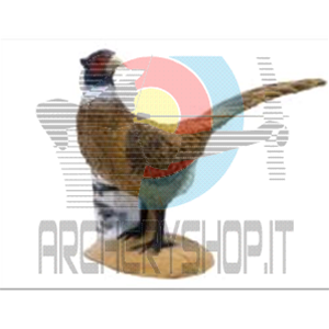 SRT Sagoma 3D Fagiano / Pheasant