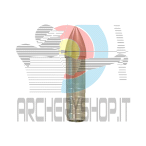 Punta Ballistic Bullet