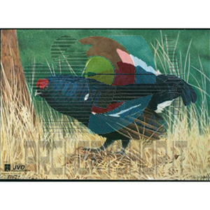 Bersaglio animale JVD Gallo Cedrone cm 70x50