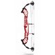 Hoyt