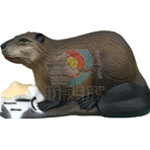 SRT Sagoma 3D Castoro/Beaver