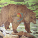 Bersaglio animale JVD orso cm 110x96