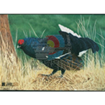 Bersaglio animale JVD Gallo Cedrone cm 70x50