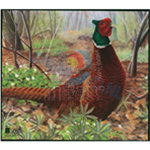 Bersaglio animale JVD fagiano 50 x 44 cm