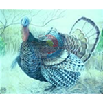 Bersaglio animale JVD tacchino cm 80x65