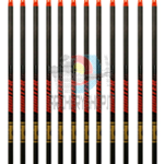 Asta Gold Tip Hunting Hunter (conf. 12 pezzi)
