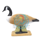 SRT Sagoma 3D Oca