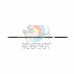 Asta Easton X10 Protour (Conf. 12 pz.)