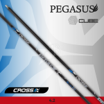 Asta Cross X Pegasus (12 pcs)
