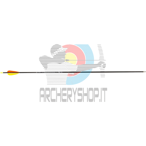Freccia Avalon Tyro con Aletta Naturale - 12 pezzi