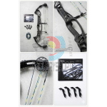Arco Compound Hoyt Invicta 37" Slate (Destro) - Usato in Ottime Condizioni